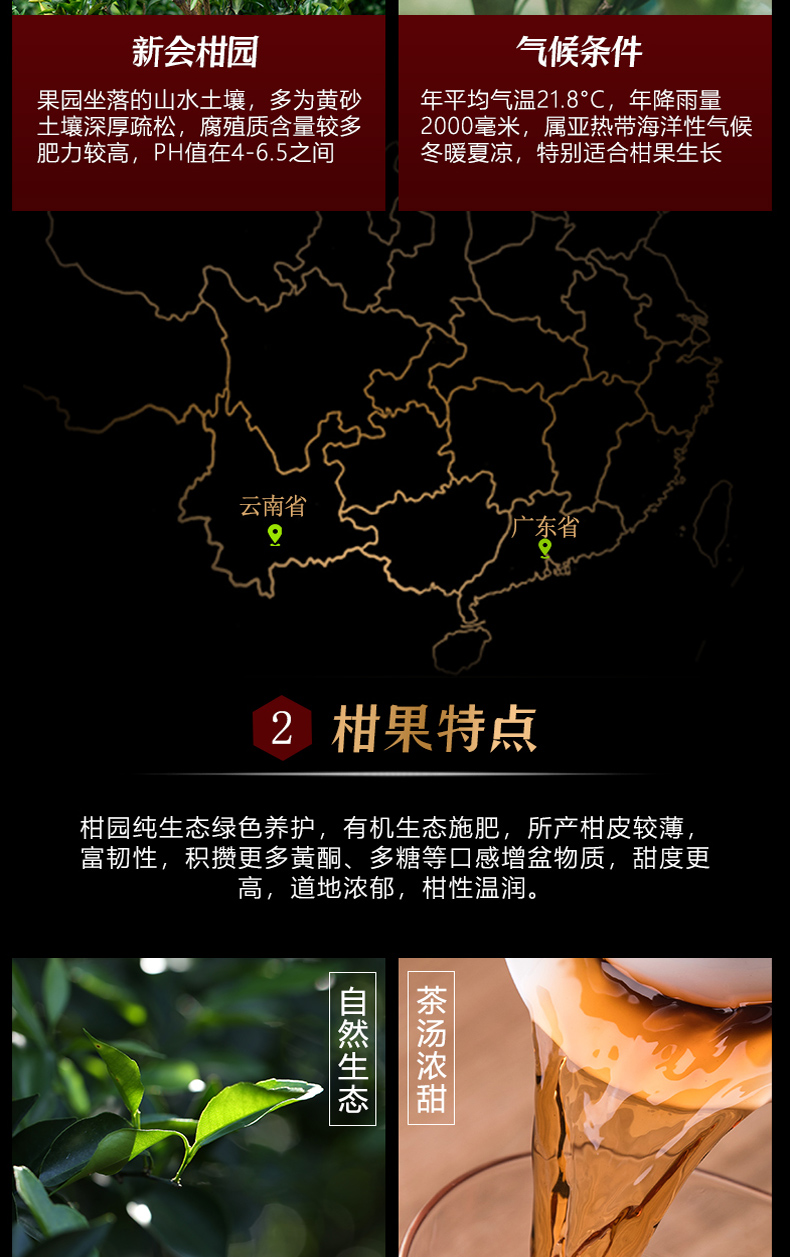 福鲜德 生晒新会青柑+陈年宫廷熟洱 6粒 图10