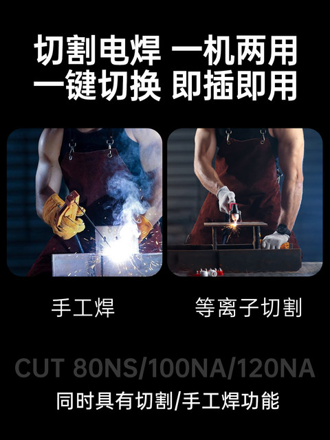 Ruiling Plasma Cutting Machine Cut40/80/100/120 Built-In External Air Pump Integrated Welding Dual-Use Industrial