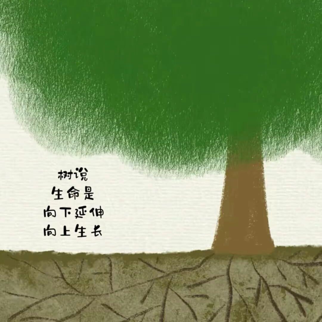 心雨教辅图书