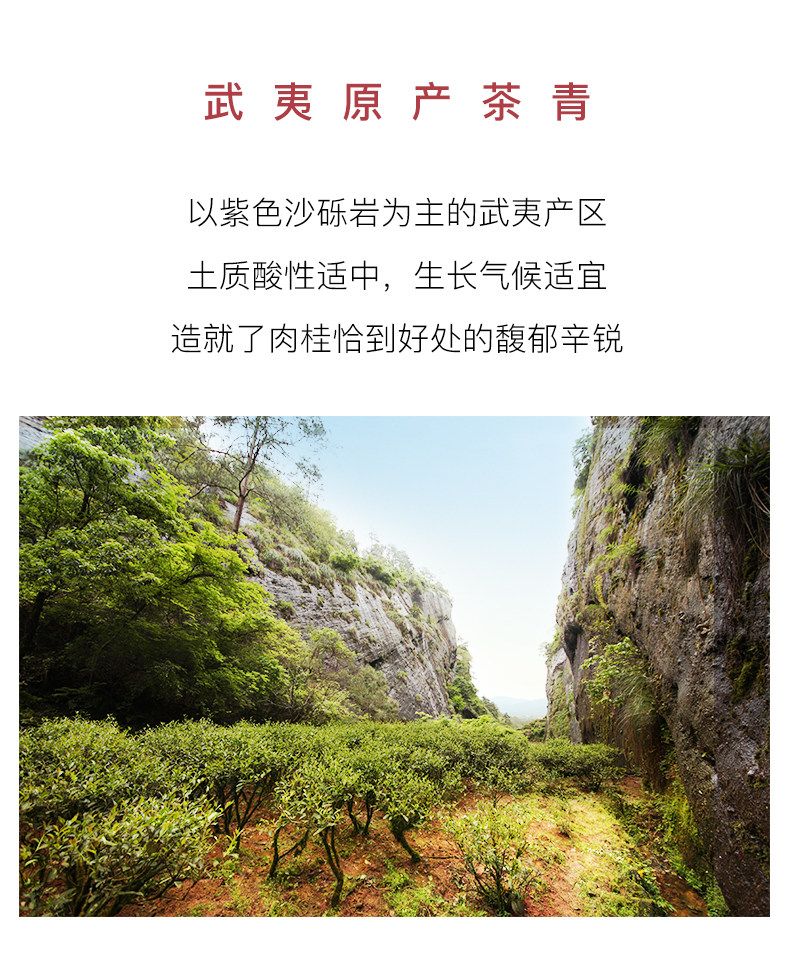 Элегантное отдельное пузырьковое платье деталь page_07.jpg