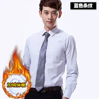 Синие полосы