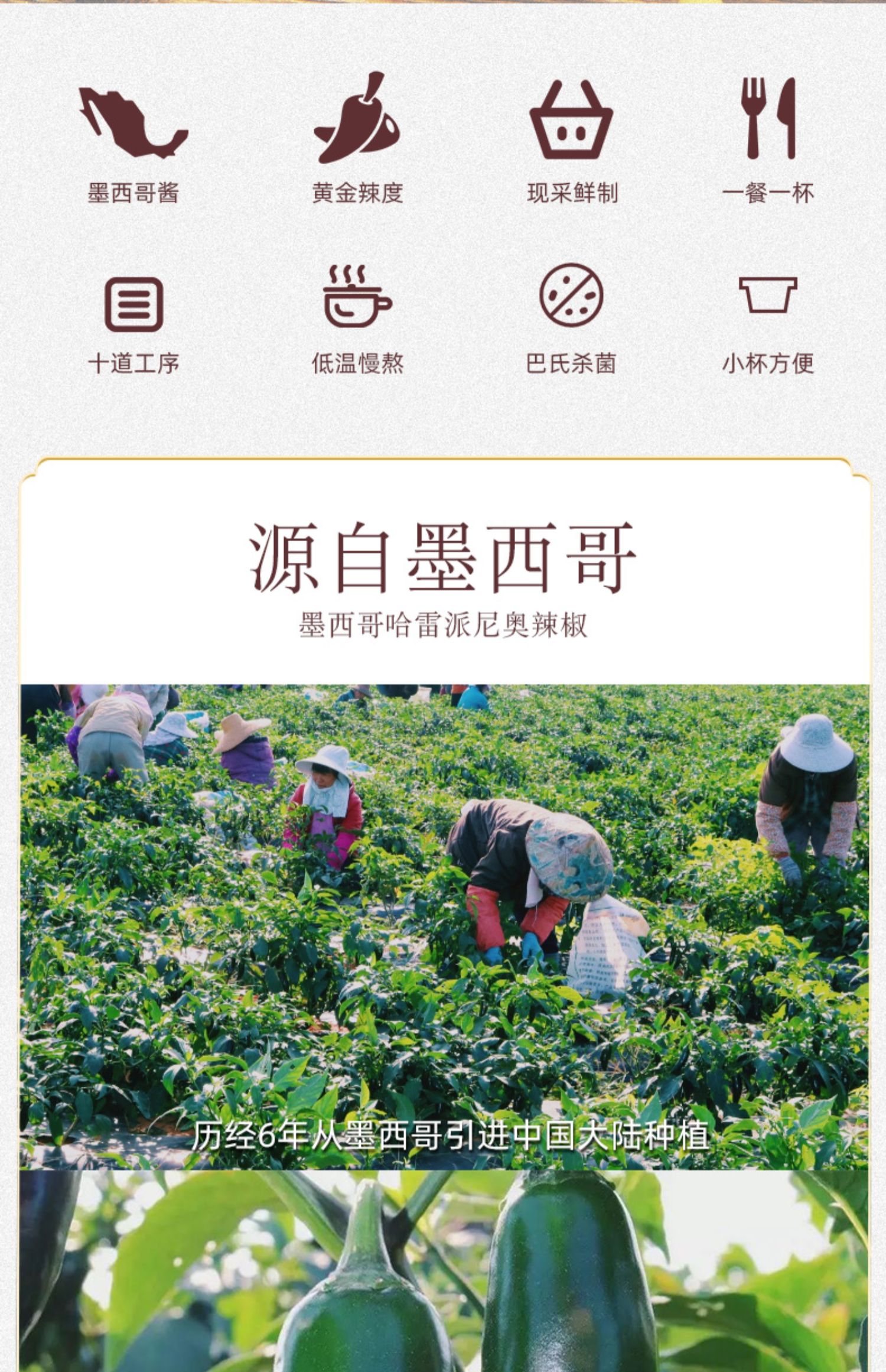 【18盒】简妹墨椒酱香辣酱