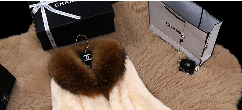 Manteau de fourrure femme - Ref 3172377 Image 24