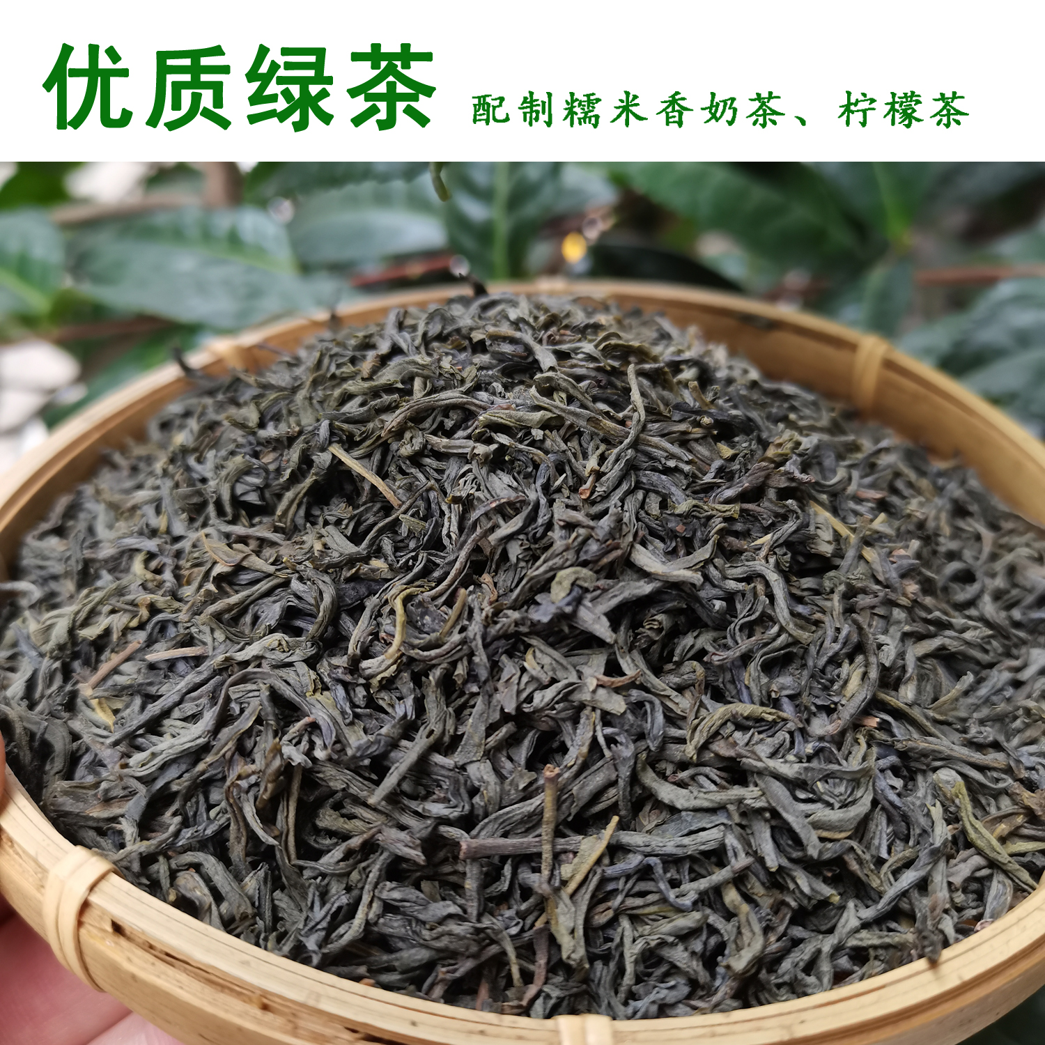 High-quality green tea bulk 500g prepared glutinous rice fragrant milk tea lemon tea high-quality green tea