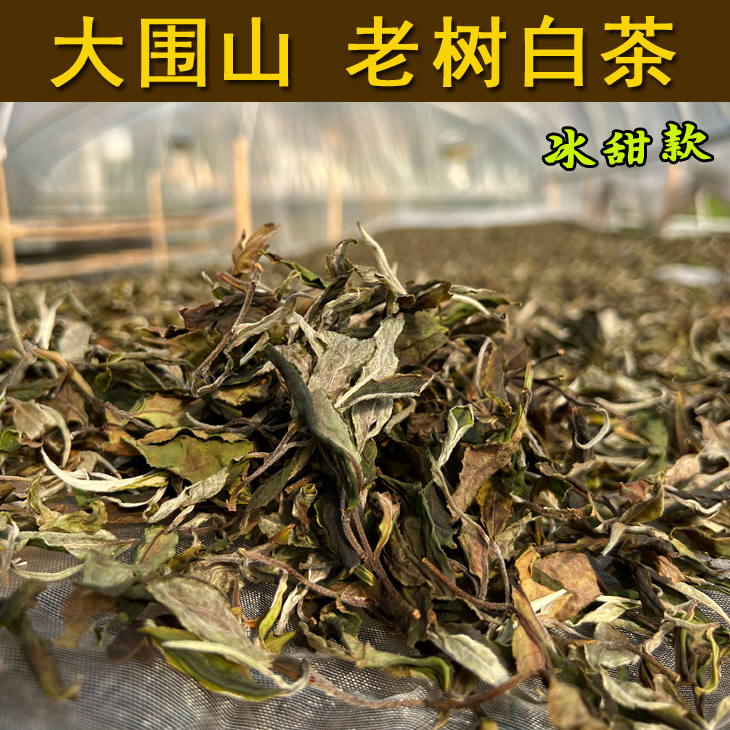 Dawei Mountain Laoshu White Tea Ice Sweet Ancient Tree White Tea Yunwei Ancient Tea Industry Dawei Mountain Tea
