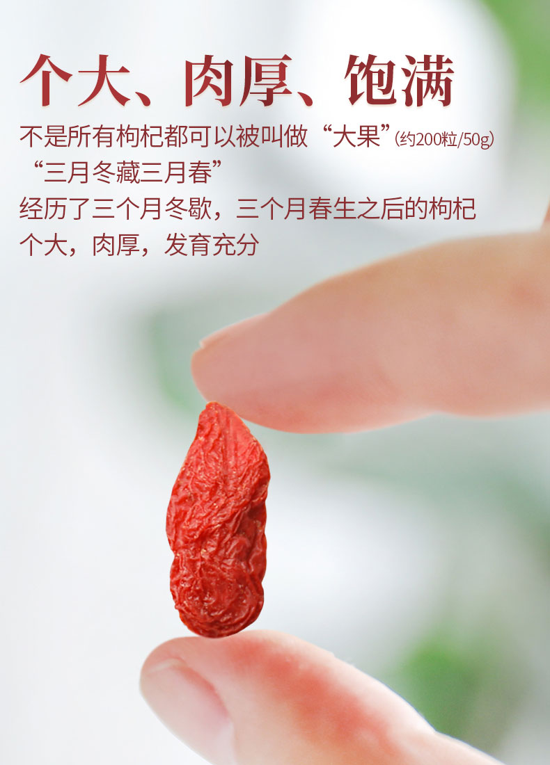 Wolfberry_04.jpg