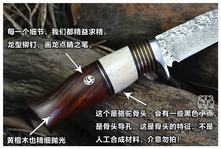 Dao bò tốt tay rèn Damascus thẳng dao ngoài trời sống sót đặc biệt dao săn dao mẫu thép dao dao - Công cụ Knift / công cụ đa mục đích