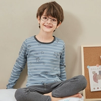 80028-Orchid Grey Strip