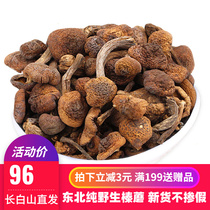 Long White Mountain Pure Wild Hazelnut Mushroom 500g Tohoku Special production Hazelnut Mushroom Dry Goods Small Chicken Stew Mushrooms No Root Special Class New Stock