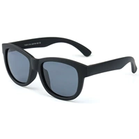 Поляризованный песчаный черный рамка черные ножки (отправьте стекла ткань)