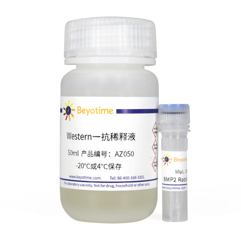 AF0075-50&mu;l BMP2 Rabbit Polyclonal Antibody 碧云天