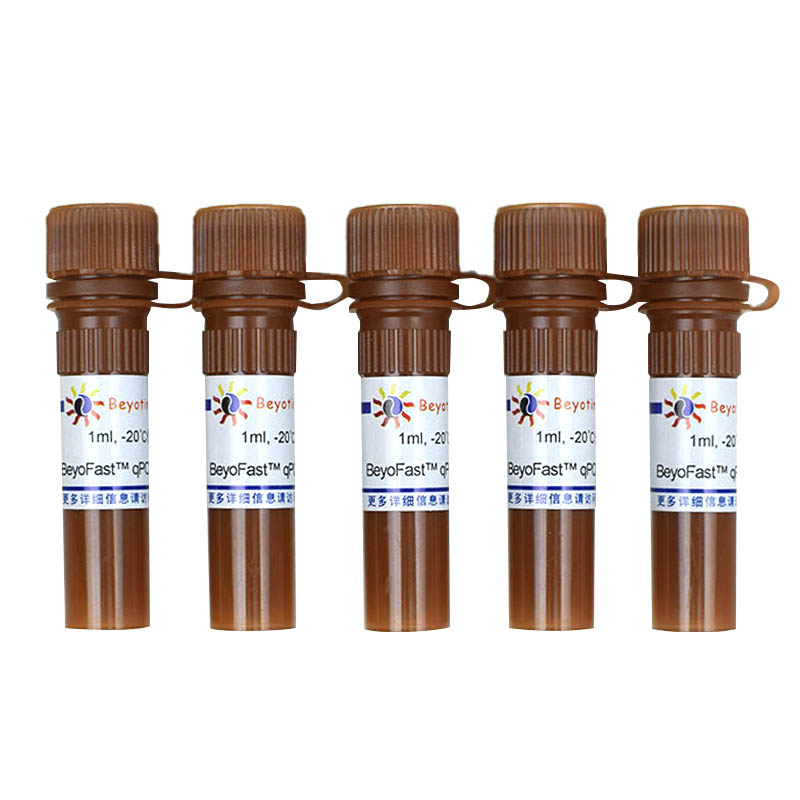 D7260-5ml BeyoFast? SYBR Green qPCR Mix (2X) 碧云天
