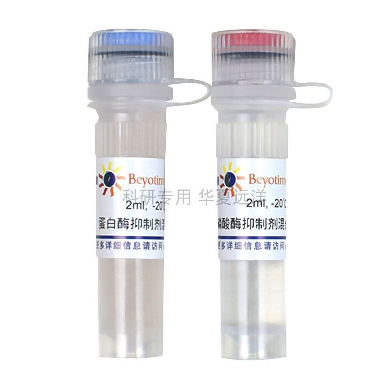 P1055-各2ml 蛋白酶磷酸酶抑制剂混合物(植物样品抽提用, 50X)碧
