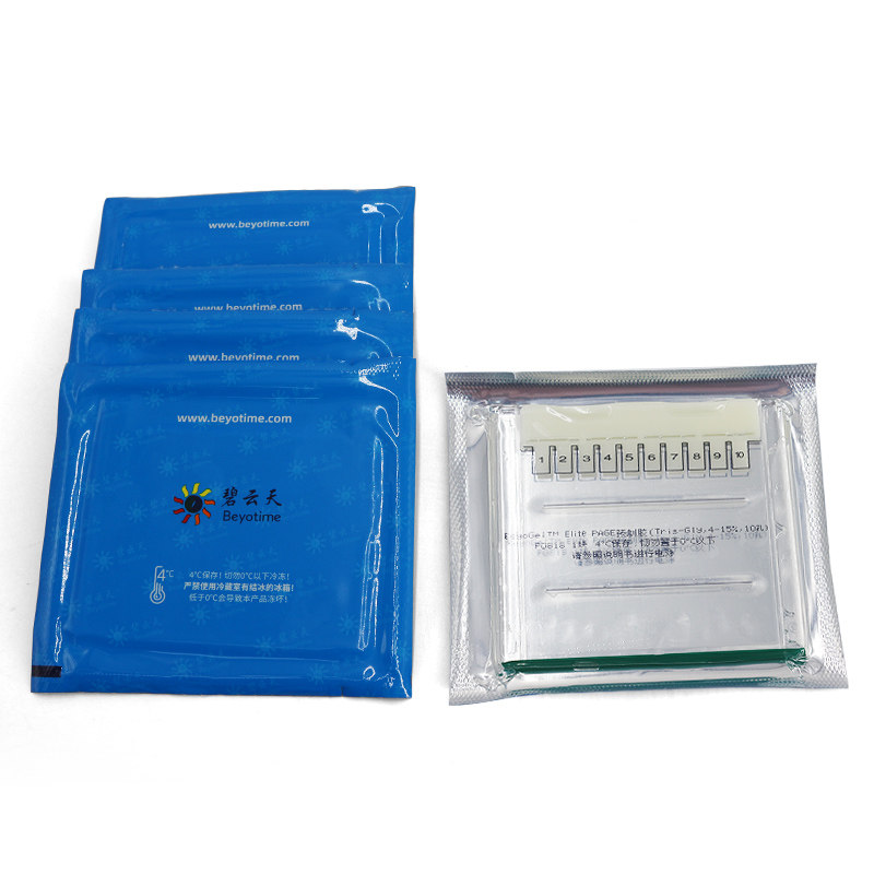 超全BeyoGel Elite PAGE预制胶Tris-Gly系统P0808S P0814S P0818S