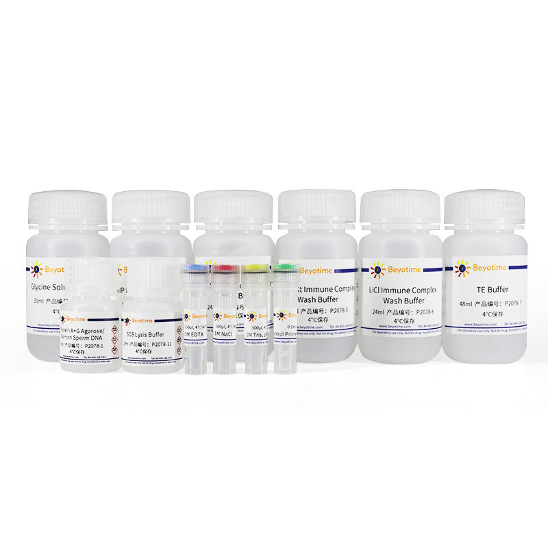 P2078-22次 ChIP Assay Kit 染色质免疫沉淀检测试剂盒 碧云天