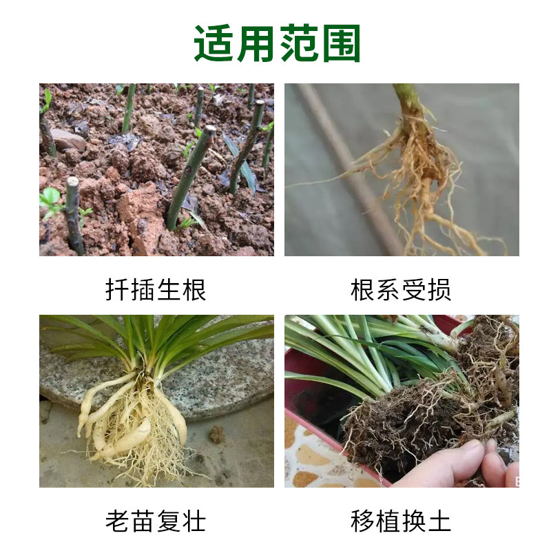 生根剂怎么选?国光强力生根粉实测揭秘,扦插成活率翻倍!🌱-花卉药剂-淘宝百科网