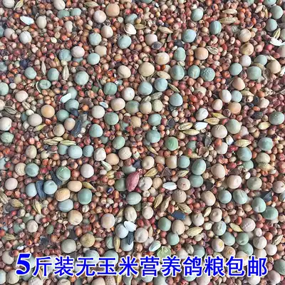 Pigeon grain no corn pigeon feed bird food pigeon ornamental meat pigeon health sand sand young pigeon food