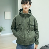 Армейский Зеленый