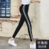 Quần legging nữ phần mỏng mặc mùa xuân và mùa thu 2020 mới eo cao bó sát chín điểm nhỏ chân quần bút chì đen - Khởi động cắt Khởi động cắt