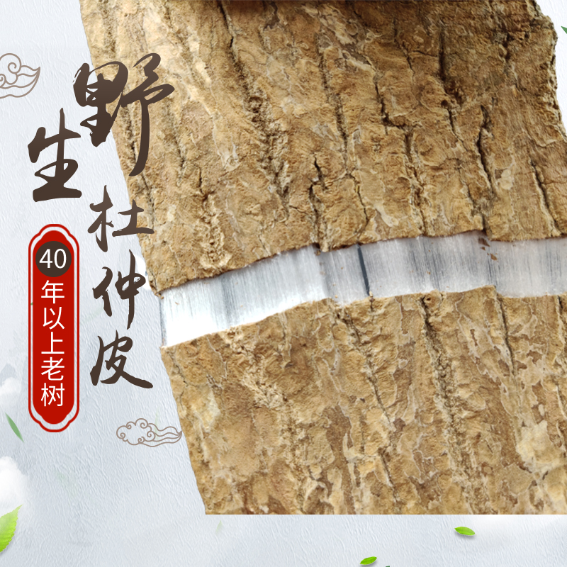 Qinling Eucommia 500g Wild Eucommia tablets Deep mountain old tree thick skin Eucommia bark Eucommia powder Bubble tea bubble wine Chinese Herbal medicine
