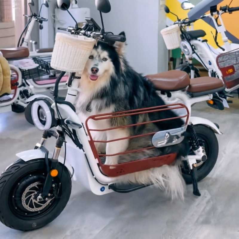 Folding Electric Scooter with Two or Three Wheels for Carrying Children, Small Size for Pets, Parent-Child Use, for Men and Women, for Walking Dogs, Mini Electric Vehicle