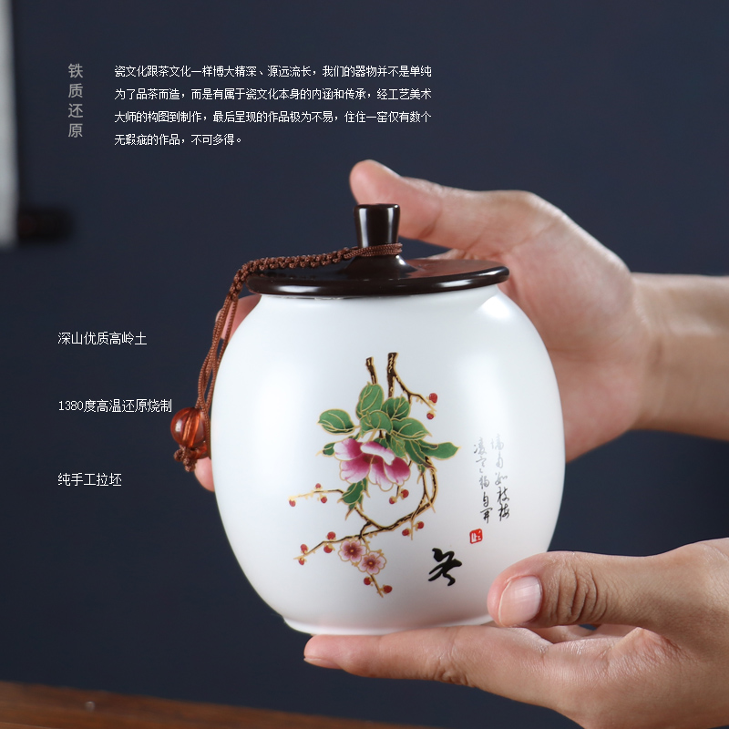 Spring, summer, autumn and winter home seal tea pot ceramic tea boxes portable storage of individual character vogue pot pu 'er tea
