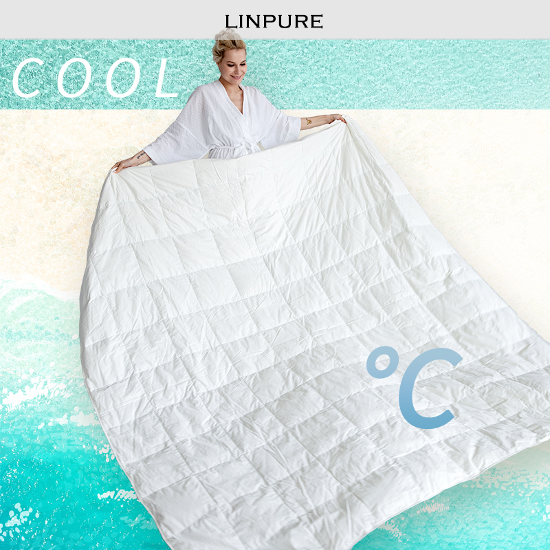 Blue platinum duvet white goose down quilt 95 down summer quilt clean and comfortable breathable air conditioning quilt