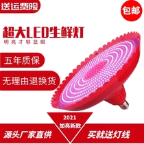 LED fresh pork lamp deli special lamp red stewed stewed meat lamp super bright fruit vegetable lamp seafood lamp