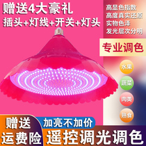 LED fresh lamp pork lamp fresh meat lamp deli special lamp stewed vegetable braised meat lamp supermarket fruit vegetable chandelier