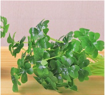 Simulation plant four-leaf clover eternal flower fish tank landscape fake green plant wall Clover home flower arrangement decoration fake flower
