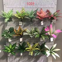 Simulation Peacock leaf zebra leaf perilla leaf feel the bundle simulation flower simulation plant wall green plant decoration fake flower