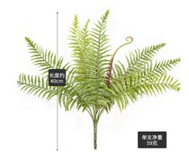 Simulation plant wall plastic fake flower simulation Persian grass Persian fern simulation flower decoration plant