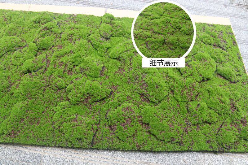 Simulation green plant wall moss lawn moss lawn simulation Moss bonsai lawn green plant scene window fake Moss