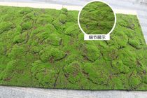 Simulation green plant wall moss lawn moss lawn simulation Moss bonsai lawn green plant scene window fake Moss