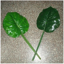 Extra-large tortoise leaf simulation leaf silk flower simulation flower simulation plant Wall Flower simulation moss lawn