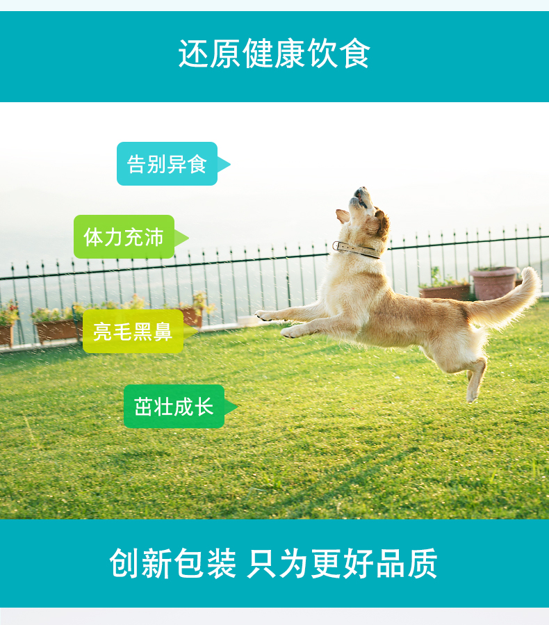 Wei Shi Chelt Chó Dấu vết Yếu tố Mèo Sản phẩm sức khỏe Jin Mao Teddy Ngăn thú cưng Ăn thực phẩm sữa dành cho mèo con
