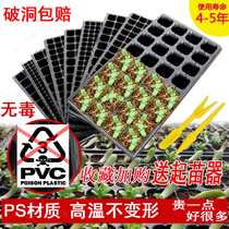 Rectangular PS plug plate nursery tray nursery pot plastic nursery box vegetable flowers watermelon multi-meaty planting tray