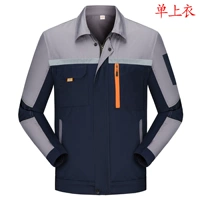 Серые плечо -синяя синяя анти -светлая полоса (одиночная вершина)