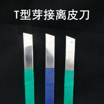 Grafting knife from skin tool flower glutinous rice paper grafting film Rose Rose Bud knife Li skin knife Xu teacher gardening