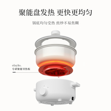 olayks3L电火锅电煮锅多功能一体锅