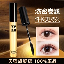 QYPRO Qianyi thick diva growth liquid mascara waterproof curling eyelashes pull anti-faint makeup anti-makeup