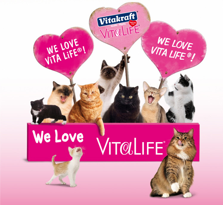 Đức Wei Ta Kraft Cat 3 gói Mèo cổ điển Thịt khô Cat Snack Mực 20 vị thức ăn cho mèo