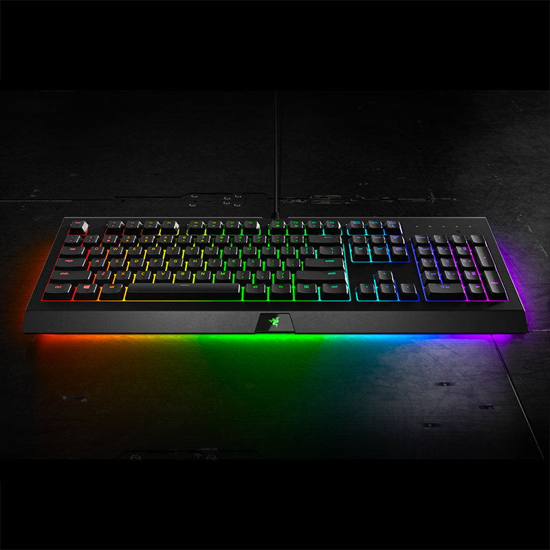 razer usa razer usa