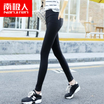 Antarctic leggings womens pants thin outer wear spring and autumn small feet nine points high waist wild 2019 new black thin