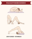 [Полный 300 минус 30] Анатомический поезд упростил китайский 33 -е издание Гуанс Гуань Линг, основные переводчики и боевика мускулистого фасции меридиан, полноцветный полноцветный