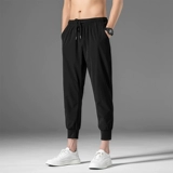 Мужские шелковые демисезонные утепленные трендовые универсальные штаны, спортивные быстросохнущие удерживающие тепло повседневные брюки, осенние, свободный крой