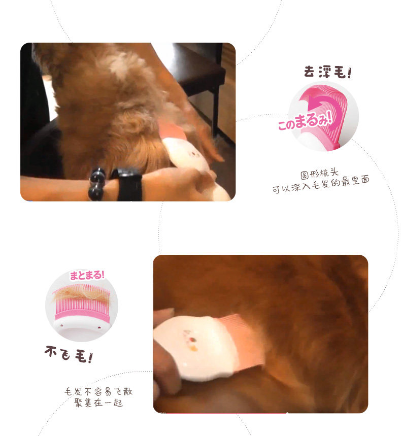 Cut Cut Corn Corning_04.jpg