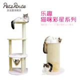 Японский патто кошачья кошка серия звезд кошачья кошка на полке сингл -layer -стиль трехслойный