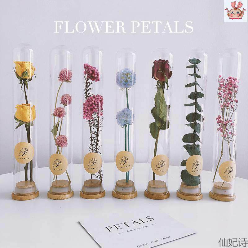 Glass test tube dried flower bouquet Yongsheng Flower Plants specimen Xu willing vase decoration Birthday Companion Hand-Taobao