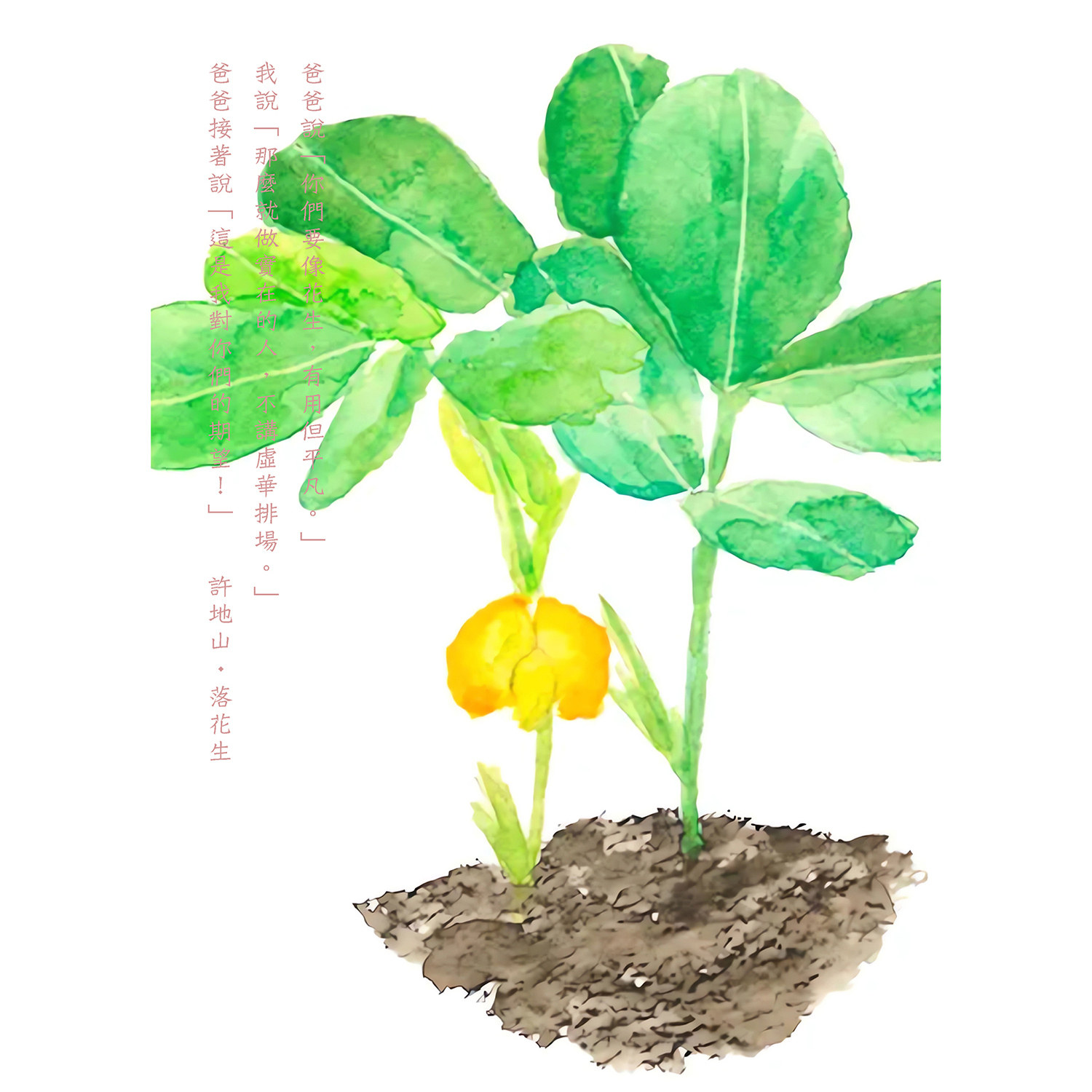 台湾文学之车过枋寮和落花生明信片4张